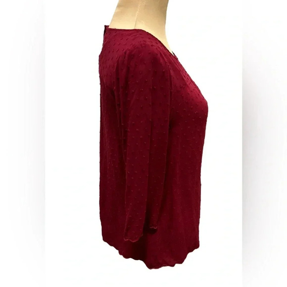 Anthropologie Maeve Women's Swiss Dot Blouse Size 6 Maroon Scalloped Edge - Picture 4 of 9